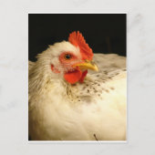 Mein Junge Postkarte (Vorderseite)