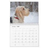 Mein Kalender GBGV Leben-2017 (Jan 2027)