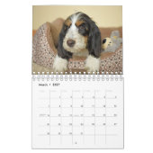 Mein Kalender GBGV Leben-2017 (Mär 2027)