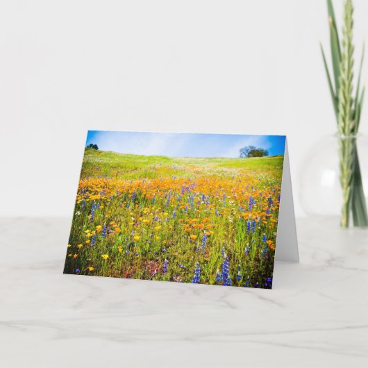 Mein Kalifornien 1 Karte (Vorderseite)