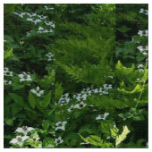 Mein kanadisches Trillium Stoff (Nahaufnahme)
