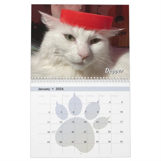Mein Katzen Kalender (Jan 2026)