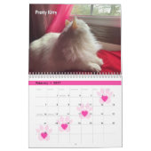 Mein Katzen Kalender (Feb 2027)