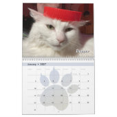 Mein Katzen Kalender (Jan 2027)