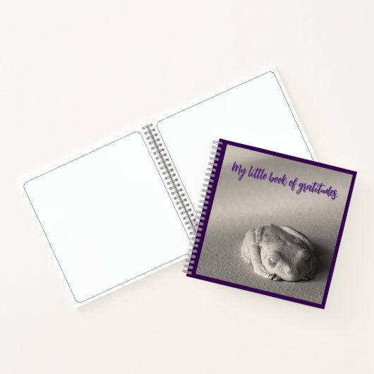 Mein kleines Buch Gratitudes. (Innenseite)