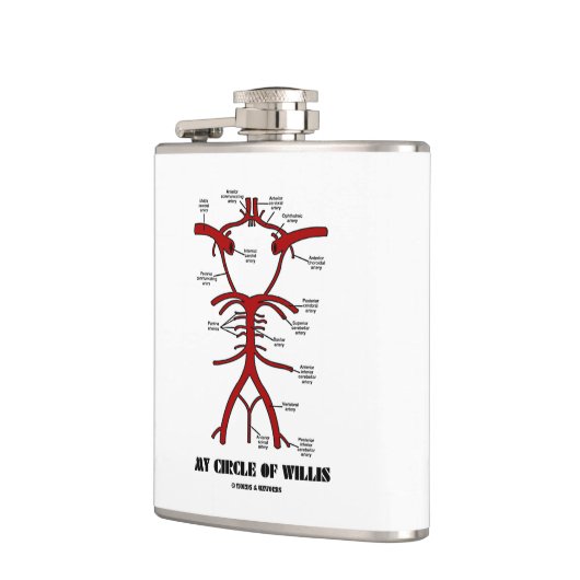 Mein Kreis Willis der anatomischen Flachmann (Links)