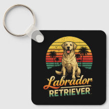 Mein Labrador Retriever