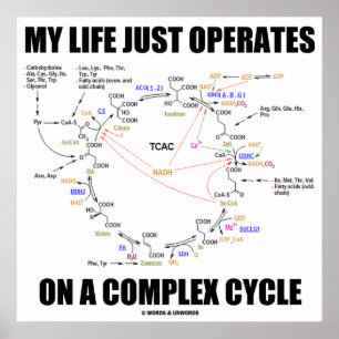 Mein Leben funktioniert nur auf einem komplexen Zy Poster