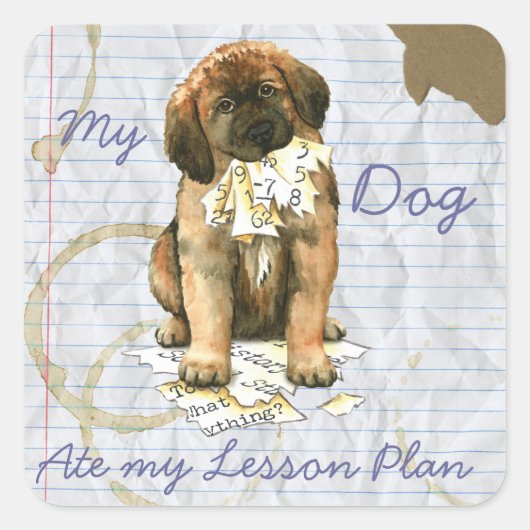 Mein Leonberger Ate mein Lektionsplan Quadratischer Aufkleber (Vorderseite)