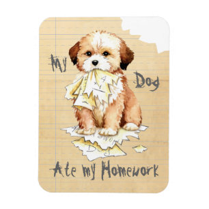 Mein Lhasa Apso Ate Meine Hausaufgaben Magnet