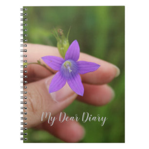 Mein liebes Tagebuch