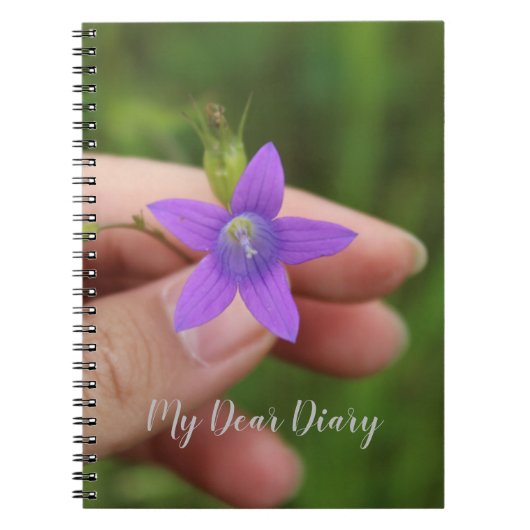 Mein liebes Tagebuch (Vorderseite)