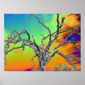 mein Lieblings-Psychedelbaum Poster