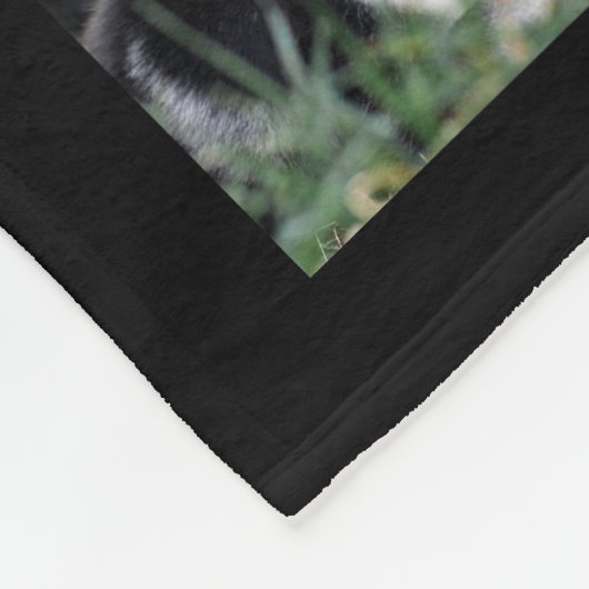 Mein Lieblings-Zitat 13 Foto Pet Loss Memorial Fleecedecke (Ecke)