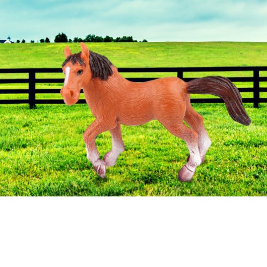 Mein Lieblingspferd Kissen