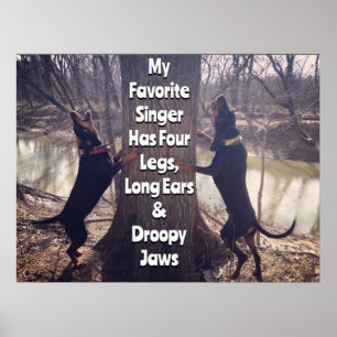 Mein Lieblingssänger Coon Hound Poster