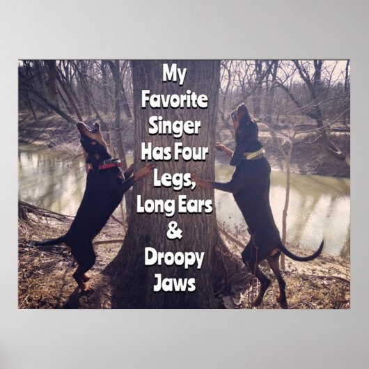 Mein Lieblingssänger Coon Hound Poster (Vorne)