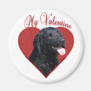 Mein locker beschichteter Retriever Valentine Magnet