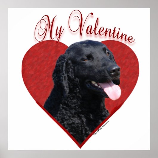 Mein locker beschichteter Retriever Valentine Poster (Vorne)