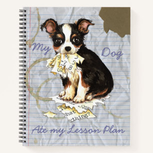 Mein Long Coat Chihuahua Ate meinen Lektionsplan Notizblock