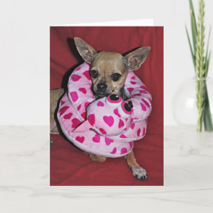 Mein lustiger Valentinsgruß Feiertagskarte