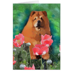Mein Mädchen "frech der schöne Chow-Chow "