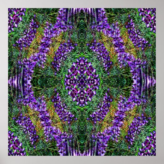 Mein Medizinrad... Poster (Vorne)