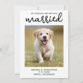 Mein Mensch heiratet einen Foto mit Haustieren Save The Date (Vorderseite)