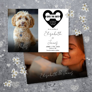 Mein Mensch heiratet Hund 2 Fotos Hochzeit Save The Date