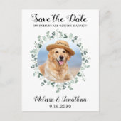 Mein Mensch wird Eukalyptus-Hund A heiraten Ankündigungspostkarte (Vorderseite)