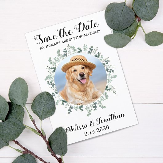 Mein Mensch wird Eukalyptus-Pet-Hund heiraten Save The Date