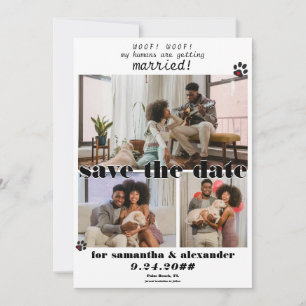 Mein Mensch wird geheiratet Foto Collage Hund Hoch Save The Date