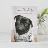 Mein Mensch wird Hund-Foto Save the Date heiraten Einladung (Stehend Vorderseite)