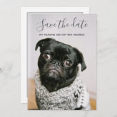Mein Mensch wird Hund-Foto Save the Date heiraten Einladung (Vorne/Hinten)