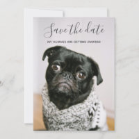 Mein Mensch wird Hund-Foto Save the Date heiraten