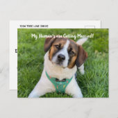 Mein menschliches Foto wird heiraten und Rette das Ankündigungspostkarte (Vorne/Hinten)