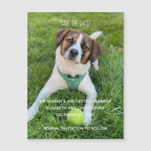 Mein menschliches Foto wird Save the Date geheirat Magnetkarte (Vorderseite)