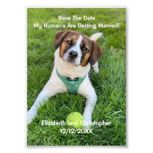 Mein menschliches Foto wird verheiratet, Verlobung (Vorne)