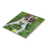 Mein menschliches Foto wird verheiratet, Verlobung Fliese (Seite)