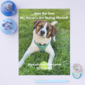 Mein menschliches Foto wird verheiratet, Verlobung Flyer (Einzeln)