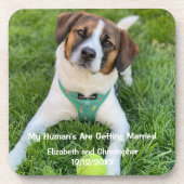 Mein menschliches Foto wird verheiratet, Verlobung Getränkeuntersetzer (Vorderseite)