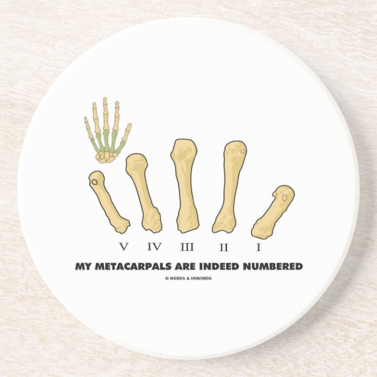 Mein Metacarpals werden tatsächlich nummeriert Getränkeuntersetzer (Vorne)