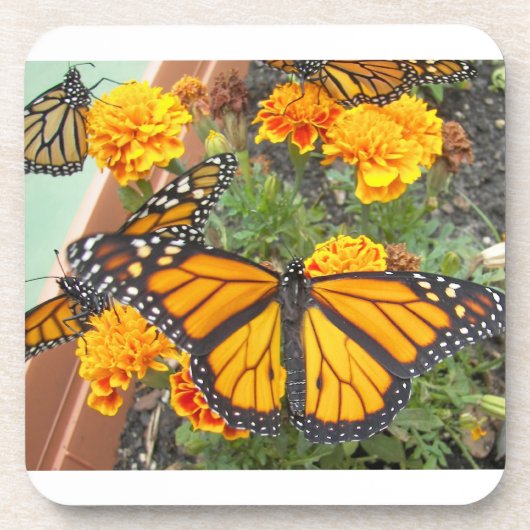 Mein Monarch Butterflies-Kork-Untersetzer Untersetzer (Vorderseite)