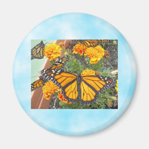 Mein Monarch Butterflies-Magnet Magnet