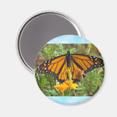 Mein Monarch Butterfly-Magnet Magnet (Vorderseite/Rückseite)