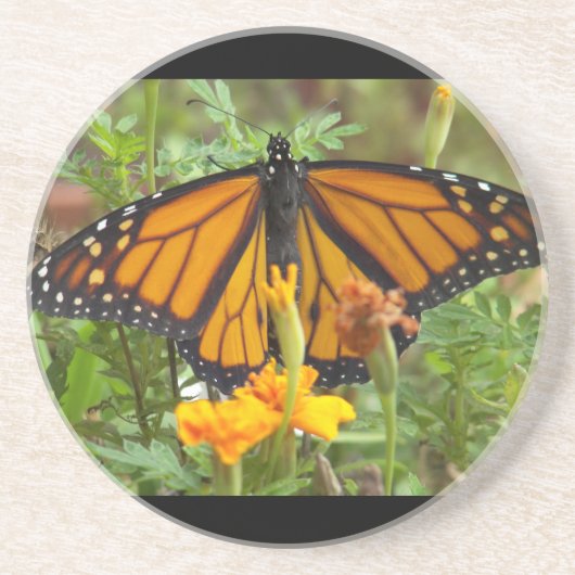 Mein Monarch Butterfly-Untersetzer Sandstein Untersetzer (Vorne)