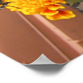 Mein Monarchen-Butterflies-Poster Poster (Ecke)