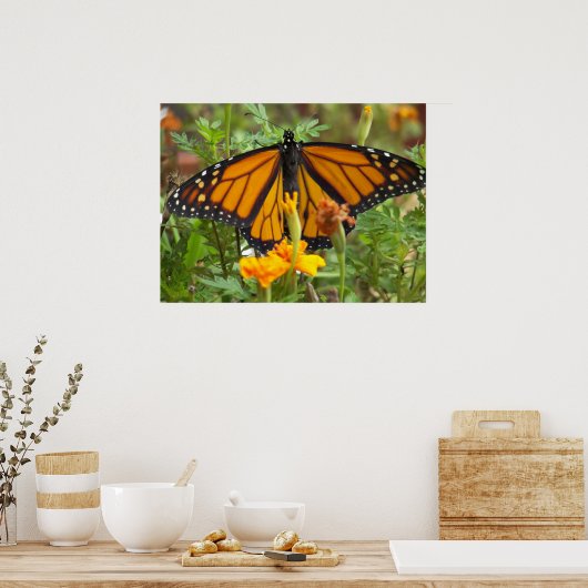 Mein Monarchen-Butterfly-Poster Poster (Küche)