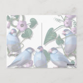 Mein morgendliches JAVA mit Java-Sperlingen Postkarte (Rückseite)