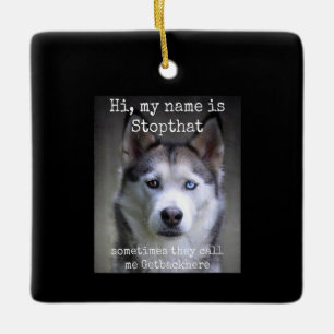 Mein Name ist Stopp, dass der Funny Hyper Sibirier Keramikornament